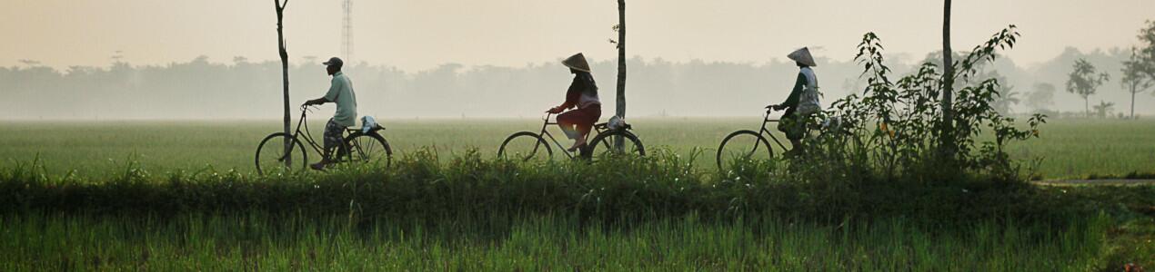 Orang Indonesia Orang Indonesia